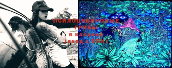 ешки Зерноград
