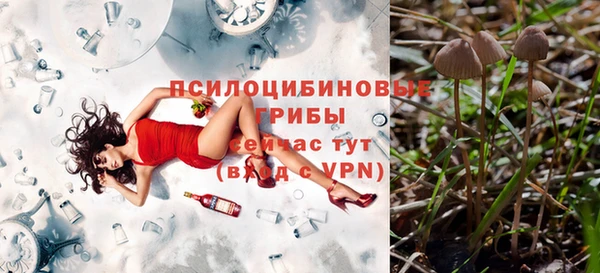СК Зеленокумск