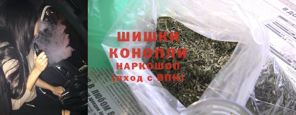СК Зеленокумск