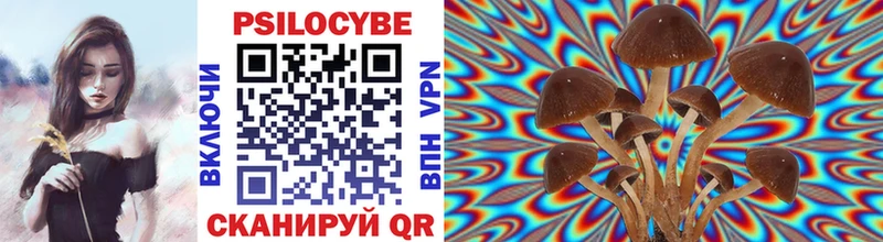 Купить  Междуреченск  Псилоцибиновые грибы Psilocybe 